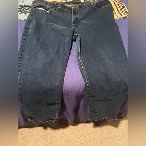 Straight leg size 22WP women’s Riders by Lee jeans